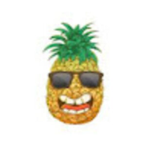 Meet your Posher, Dylan